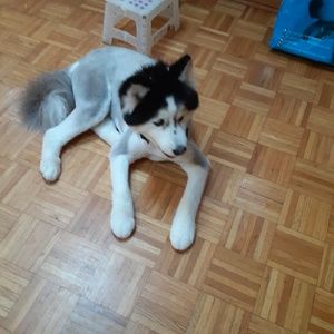 Meet your Posher, Ann